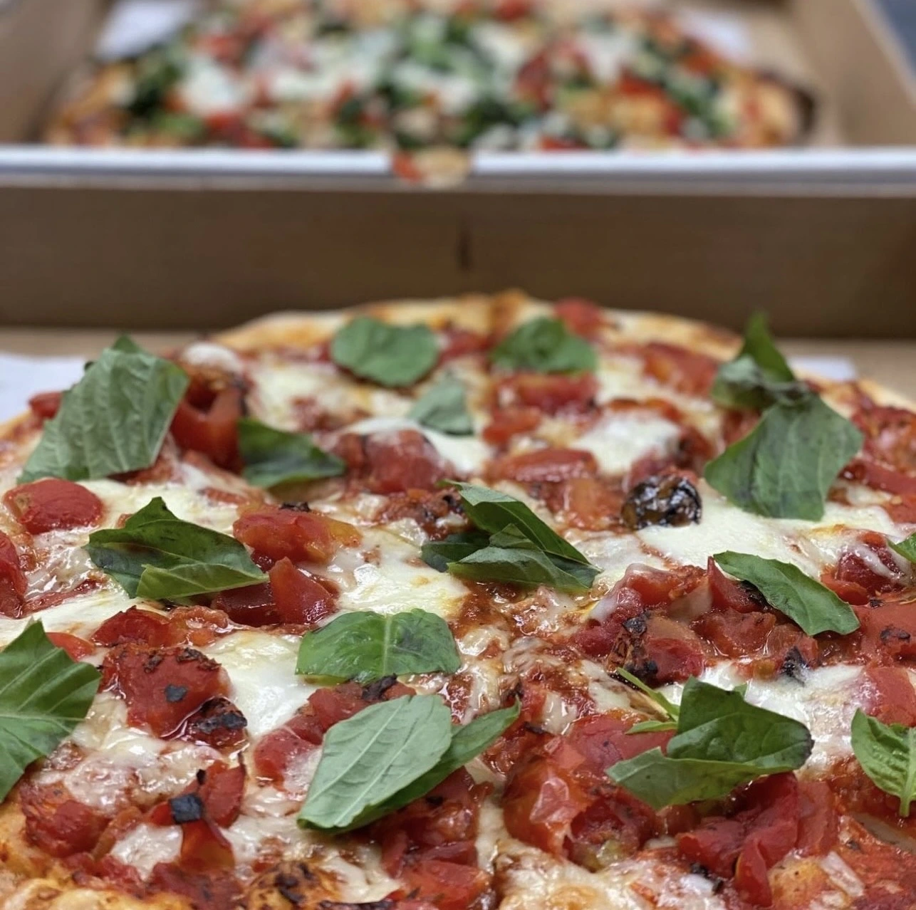 Margherita Pizza